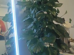 -良子健身(金融街店)