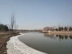 -东郊湿地公园
