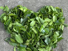 -寒舍蒸鲜(四海马术庄园店)