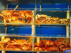 -日进一片海.生腌海鲜火锅.宵夜烧烤(三里屯总店)