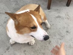 -鹿福农庄(南沙天后宫店)