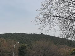-云龙山
