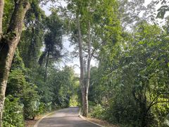 -中国科学院西双版纳热带植物园