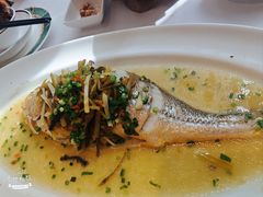 -老洋房花园饭店(绍兴路店)