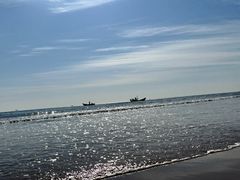 -日照海滨国家森林公园