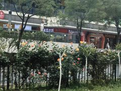 -山东大学(洪家楼校区)