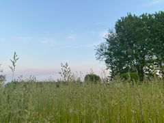 -Kpasta韩式意大利面