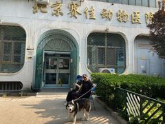 -北京赛佳动物医院