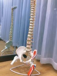 -A+瑜伽·普拉提