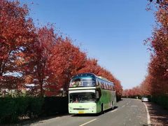 -南京枫彩漫城