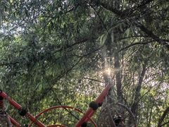 -西部长青自然儿童乐园