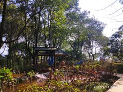 -山湖温泉