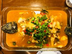 青梅酸汤鱼-青梅竹酒