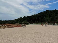 -仙海旅游度假区