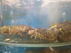 -渔中舟海鲜大排档(普陀沈家门店)