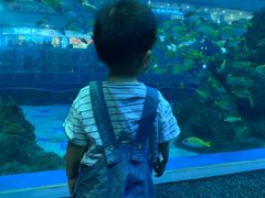 -成都浩海立方海洋公园