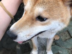 -中国建设银行(青浦新城支行)