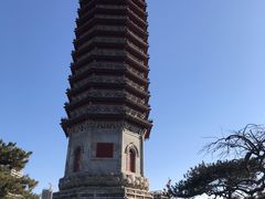 -西海子公园