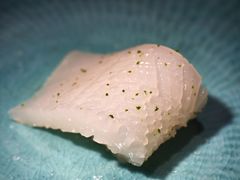 -镹·鱼料理  国产鱼使用店