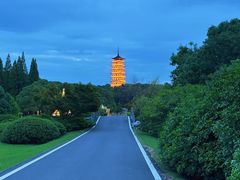 -宜兴龙背山森林公园
