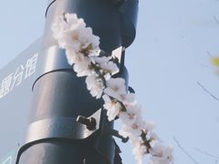 -杭州城北体育公园