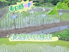 -丹樱生态园