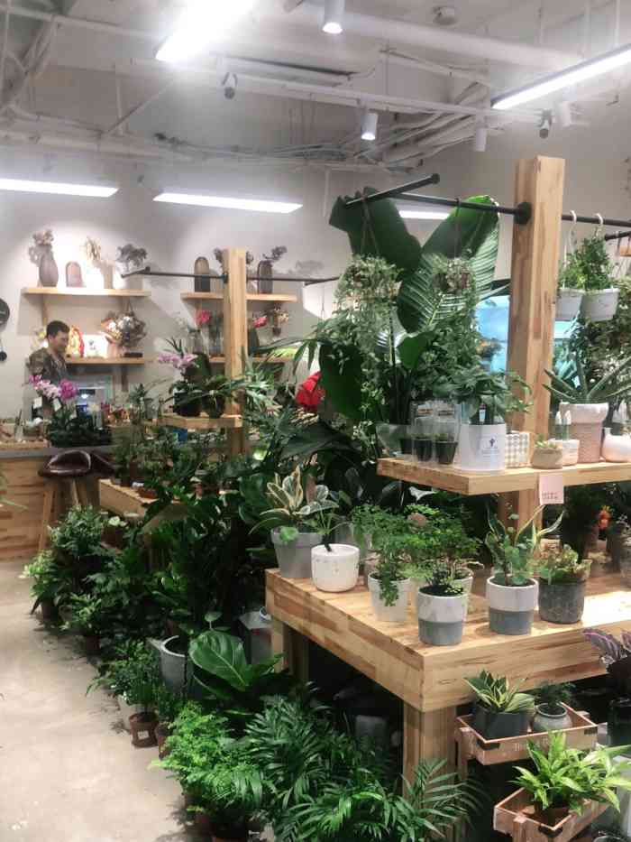 打分 家附近新开的花店,非常的小清新的风格!