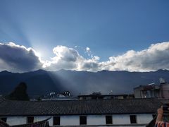 -喵屿·大理花园猫咖