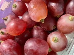 -吉林大学(南岭校区)