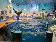 -太平洋海底世界