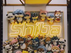-豆柴町-柴犬主题狗咖(红鼎国际C座店)