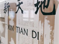 -一大会址·新天地(地铁站)