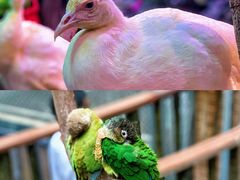 -正佳雨林生态植物园