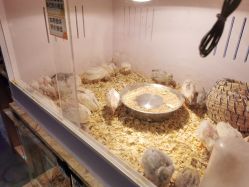 -造物庄园 萌宠纪(苏州湾歌林公园店)