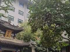 -罔极寺