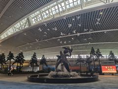 -青岛胶东国际机场