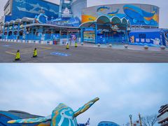-海合安青岛极地海洋公园