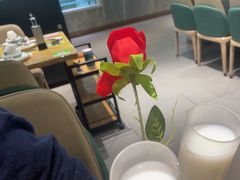 -春润大地海南椰子鸡(沙井京基百纳广场店)