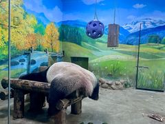 -上海野生动物园