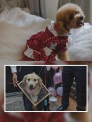 -美悦盛宴一站式婚礼会馆(临江店)