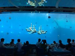 -瑞德姆美人鱼海底演艺主题餐厅(亚龙湾店)