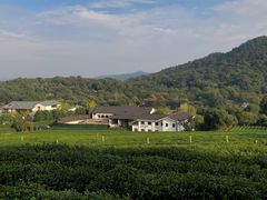 -中国茶叶博物馆(双峰馆区)