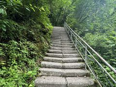 -朱雀国家森林公园