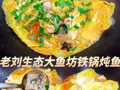 -老刘生态大鱼坊铁锅炖鱼(赛马场店)