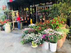-吴越荣记苏州菜·松鼠桂鱼100%活鱼现做(斜塘老街店)