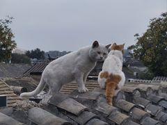 -前叁門