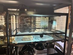 -酷以爬仙阁实体爬宠店·守宫·蜥蜴·专业繁育