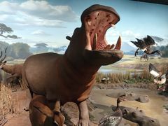 -陕西自然博物馆