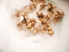 有机舞菇-煲宫猪肚鸡(晶品店)