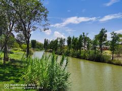 -江门古劳水乡旅游区